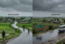 Gujarat Weather Update: Monsoon Brings Relief to State|