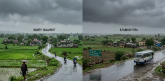Gujarat Weather Update: Monsoon Brings Relief to State|