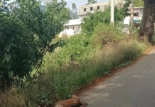 సోమలలో అపరిశుభ్రత: ఇలా ఉంటే రోగాలు రాకుండా ఏమవుతాయి?|