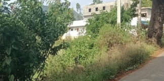 సోమలలో అపరిశుభ్రత: ఇలా ఉంటే రోగాలు రాకుండా ఏమవుతాయి?|