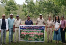 మంచిర్యాల్,: సఫారీ ఏరియాలో ‘వని దర్శిని’