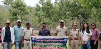 మంచిర్యాల్,: సఫారీ ఏరియాలో ‘వని దర్శిని’