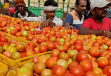 మదనపల్లి మార్కెట్లో టమోటా ధరలు తగ్గుముఖం.|