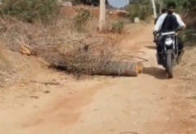 మాలేపాడులో దారి సమస్య.. రహదారి దిగ్బంధం |