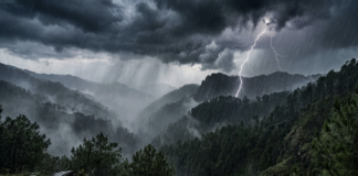 Himachal Rain Alert: Yellow Warning Issued for 7 Districts