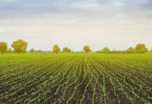 Agricultural Development and Farmer Welfare in Gujarat|