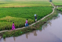 Bihar’s Agricultural Growth and Farmer Welfare Initiatives|