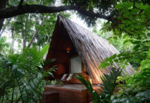Tourism Development and Sustainable Eco-Tourism Plans|