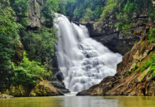 Forest Conservation and Biodiversity Efforts in Chhattisgarh|