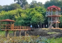 Jharkhand Forest Conservation and Wildlife Protection|