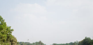 Bihar Expands Rural Road Connectivity for Better Access|