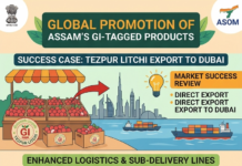 Assam’s GI Products Go Global: Tezpur Litchi Hits Dubai|
