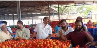 మదనపల్లెలో కిలో టమాటా రూ. 34 |