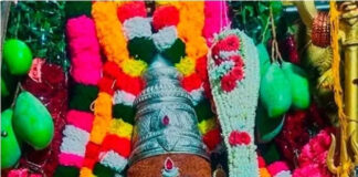 పుంగనూరు: నవధాన్యాల అలంకారంలో దర్శనమిచ్చిన మారెమ్మ|