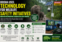 Odisha Uses Technology for Wildlife Safety Initiatives|
