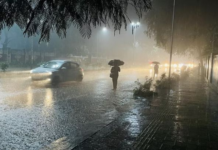 Southwest Monsoon Brings Widespread Rain to Madhya Pradesh|