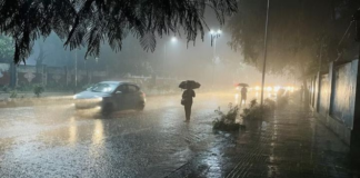Southwest Monsoon Brings Widespread Rain to Madhya Pradesh|