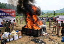 Himachal Observes Anti-Chitta Day with Mass Drug Destruction|