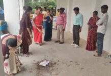 స్వర్ణాంధ్ర, స్వచ్ఛఆంధ్రతో కళాశాల ప్రాంగణం మెరిసింది|