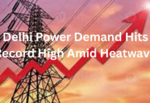 Delhi Power Demand Hits Record High Amid Heatwave|