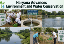 Haryana Advances Environment and Water Conservation|