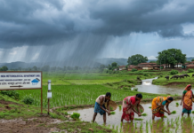 Monsoon Refresh: Madhya Pradesh Welcomes Vital June Rains|