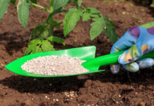 Odisha Approves ₹42 Crore Fertiliser Support Scheme|
