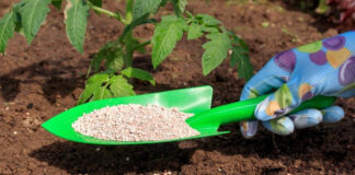 Odisha Approves ₹42 Crore Fertiliser Support Scheme|