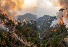 Massive Himachal Forest Fires: Hundreds Evacuated, Army Steps In
