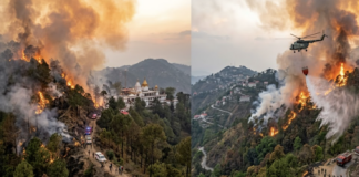 Massive Himachal Forest Fires: Hundreds Evacuated, Army Steps In
