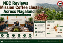NEC Reviews Mission Coffee Clusters Across Nagaland|