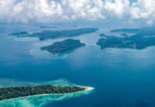 Protecting Biodiversity in Andaman & Nicobar Islands|