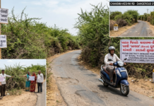 Patan District Demands Urgent Bush Clearance for Road Safety|