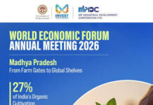 Industrial Development and Investment Growth in Madhya Pradesh|