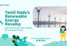 Renewable Energy Growth and Green Development in Tamil Nadu|