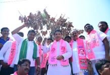 నిజామాబాద్: నగరం లో ఎండిన చెట్లు.