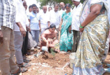 చందలూరులో పండ్ల తోటల పెంపకానికి శ్రీకారం చుట్టిన డాక్టర్ గొట్టిపాటి లక్ష్మీ|
