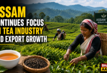 Assam Continues Focus on Tea Industry and Export Growth|