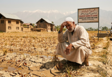 Scorching Valley: Kashmir Faces Unprecedented Heatwave|