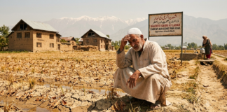 Scorching Valley: Kashmir Faces Unprecedented Heatwave|