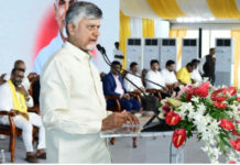 పవన్ను టార్గెట్ చేస్తే ఇక సహించేది లేదు: సీఎం చంద్రబాబు|