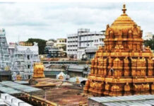 తిరుమల శ్రీవారి దర్శనం.. ఇక ఎన్ఆర్ఐలకు 3 నెలల వరకు అవకాశం.
