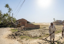 Nautapa, Storms Claim Over 15 Lives; Fresh Severe Heat Alert Issued for Purvanchal
