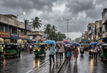 NGT on India’s Beach Pollution & Waste