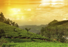 EU Lifts Travel Advisory for Most Areas Across Assam|