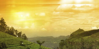EU Lifts Travel Advisory for Most Areas Across Assam|