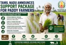 Tamil Nadu Announces Support Package for Paddy Farmers|
