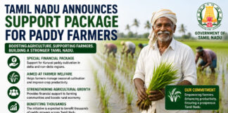 Tamil Nadu Announces Support Package for Paddy Farmers|