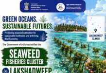 Coastal and Marine Conservation Efforts in Lakshadweep|