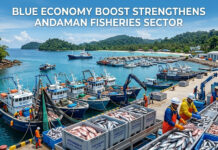 Blue Economy Boost Strengthens Andaman Fisheries Sector|